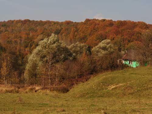 Foto cromointegrare pe Valea Ilendei (c) Petru Goja